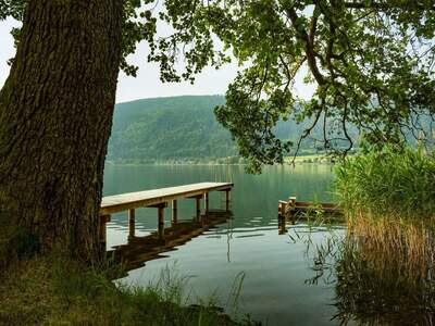 Wohnung in 9552 Steindorf (Bild 2)