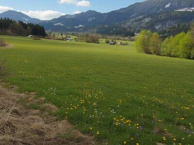 Grundstück kaufen in 9771 Berg