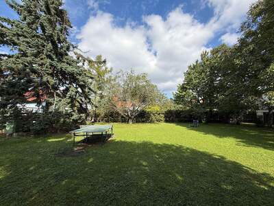 Grundstück kaufen in 2353 Guntramsdorf (Bild 5)