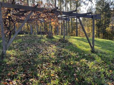 Grundstück kaufen in 8282 Bad Loipersdorf (Bild 4)