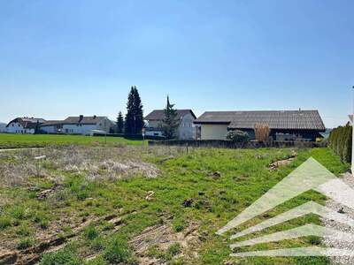 Haus kaufen in 4224 Wartberg