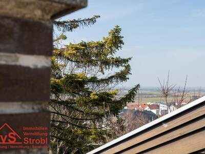 Haus mit Garten kaufen in 2451 Hof (Bild 1)