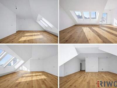 Terrassenwohnung kaufen in 1230 Wien (Bild 4)