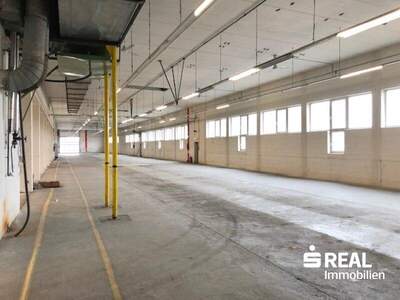 Lager mieten in 4614 Marchtrenk (Bild 4)