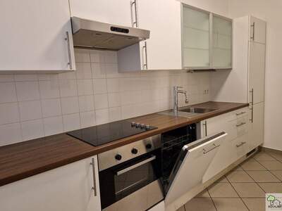 Altbauwohnung mieten in 1190 Wien (Bild 3)