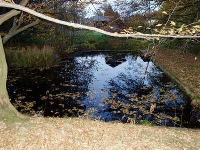 Grundstück kaufen in 3413 Hintersdorf (Bild 4)