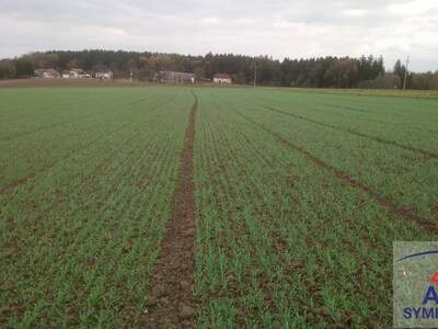 Gewerbeobjekt kaufen in 2152 Gnadendorf