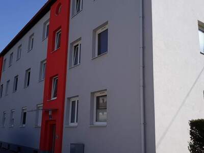 Wohnung mieten in 2700 Wr. Neustadt (Bild 3)