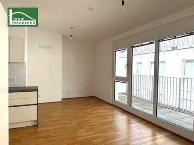 Terrassenwohnung mieten in 1210 Wien (Bild 1)