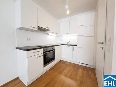 Terrassenwohnung mieten in 1090 Wien (Bild 2)