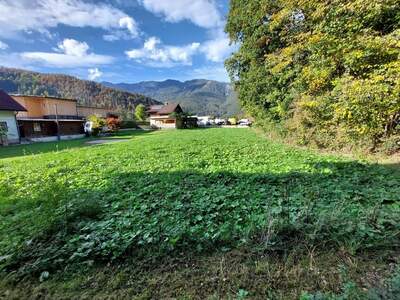 Grundstück mieten in 4822 Bad Goisern