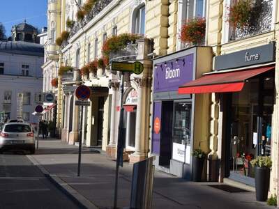 Gewerbeobjekt mieten in 5020 Salzburg