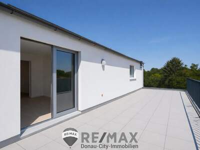 Terrassenwohnung kaufen in 1110 Wien (Bild 2)