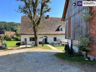 Immobilie kaufen in 8570 Voitsberg (Bild 5)