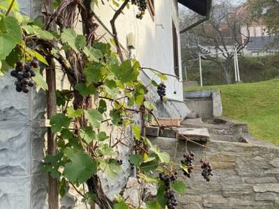 Haus kaufen in 8650 Kindberg (Bild 5)