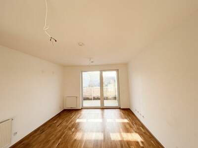 Terrassenwohnung mieten in 3140 Pottenbrunn (Bild 4)