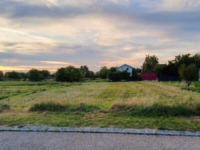 Grundstück kaufen in 7141 Podersdorf (Bild 2)