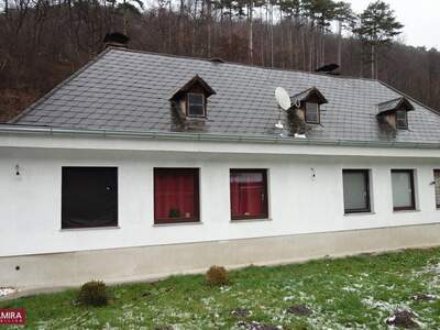 Haus kaufen in 2500 Siegenfeld