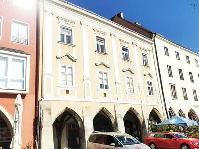 Gewerbeobjekt mieten in 2700 Wiener Neustadt (Bild 3)