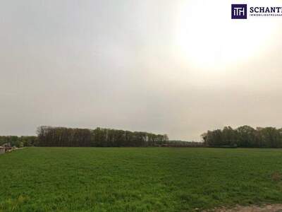 Grundstück kaufen in 8430 Leibnitz (Bild 1)