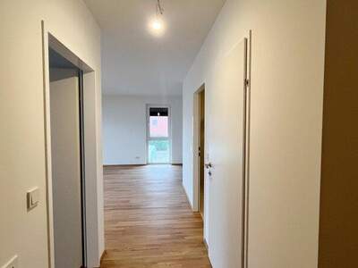 Terrassenwohnung kaufen in 2700 Wr. Neustadt (Bild 5)