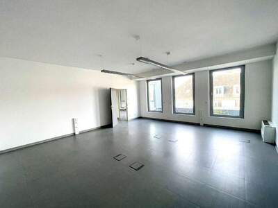 Gewerbeobjekt mieten in 1100 Wien (Bild 2)