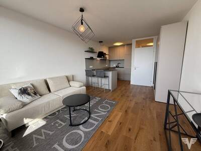Wohnung kaufen in 5020 Salzburg