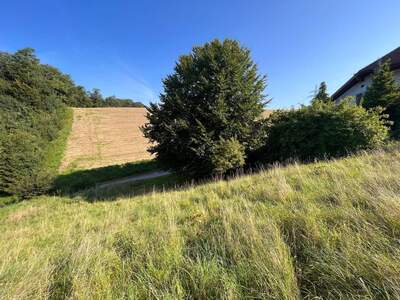 Grundstück kaufen in 4441 Behamberg
