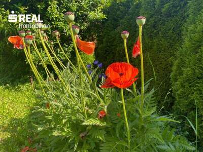 Haus kaufen in 9220 Velden (Bild 3)