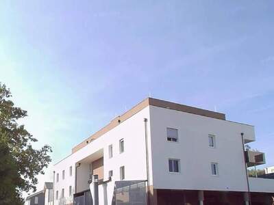 Anlageobjekt provisionsfrei kaufen in 4671 Neukirchen