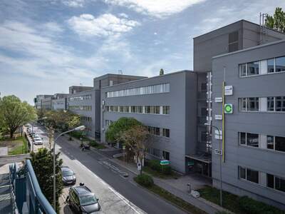 Gewerbeobjekt mieten in 2345 Brunn (Bild 5)