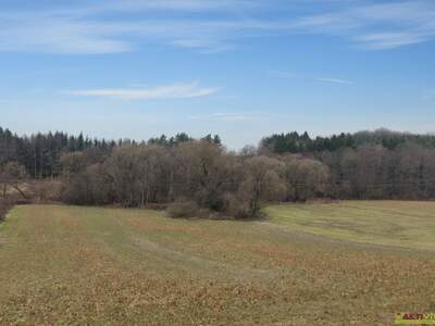 Gewerbeobjekt kaufen in 7502 Unterwart