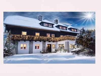 Gewerbeobjekt kaufen in 8962 Michaelerberg (Bild 3)