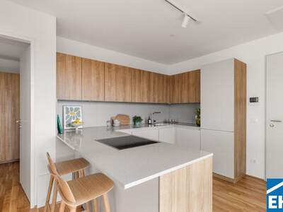 Terrassenwohnung mieten in 1200 Wien (Bild 5)