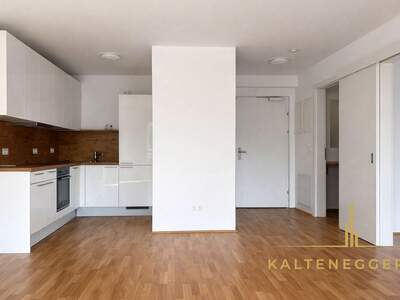 Wohnung mit Balkon mieten in 1100 Wien (Bild 5)