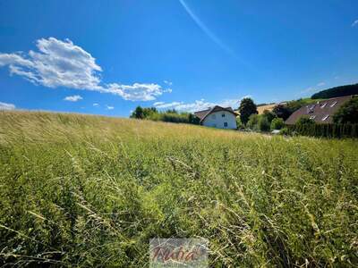 Grundstück kaufen in 4616 Weyerbach (Bild 2)