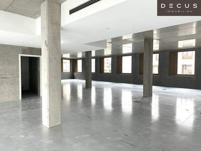 Gewerbeobjekt mieten in 1230 Wien