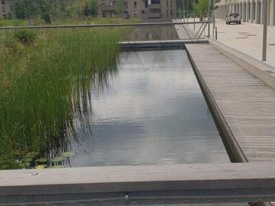 Wohnung mieten in 8020 Graz (Bild 4)