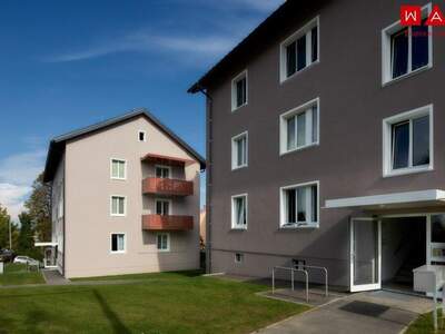 Wohnung mieten in 4910 Ried (Bild 3)