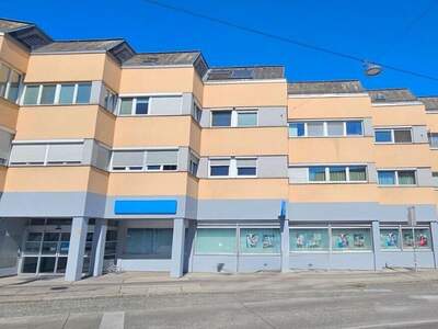 Gewerbeobjekt kaufen in 1230 Wien (Bild 1)