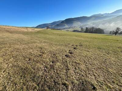 Grundstück kaufen in 3353 Seitenstetten Dorf (Bild 3)