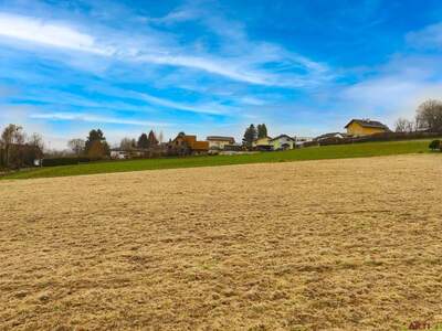 Grundstück kaufen in 8072 Fernitz (Bild 2)