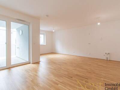 Terrassenwohnung mieten in 3100 St. Pölten (Bild 2)