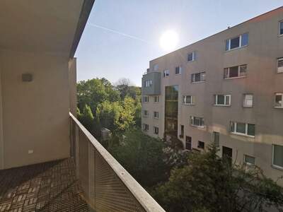 Apartment provisionsfrei mieten in 1100 Wien