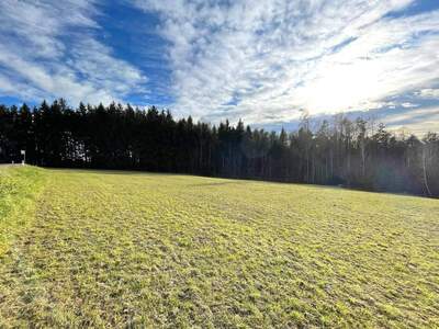 Grundstück kaufen in 8062 Kumberg