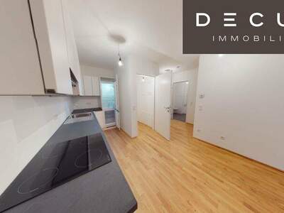 Terrassenwohnung mieten in 1220 Wien (Bild 1)