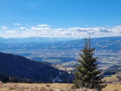 Gewerbeobjekt kaufen in 9400 Wolfsberg (Bild 1)