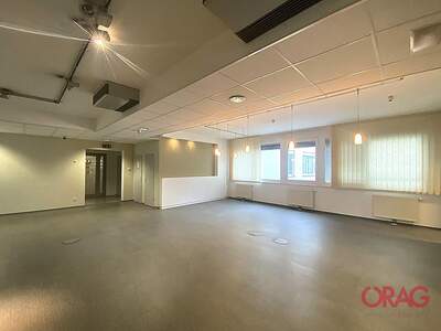 Gewerbeobjekt mieten in 1110 Wien (Bild 3)