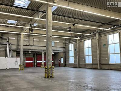 Gewerbeobjekt mieten in 1300 Flughafen Wien (Bild 5)
