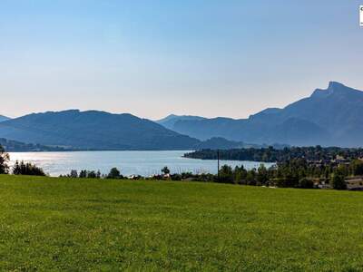 Haus kaufen in 5310 Mondsee